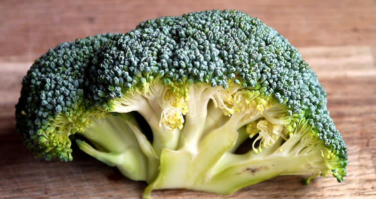 Broccoli 1